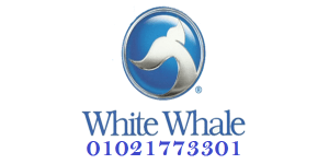 whitewhale